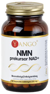 YANGO NMN precursor NAD+
