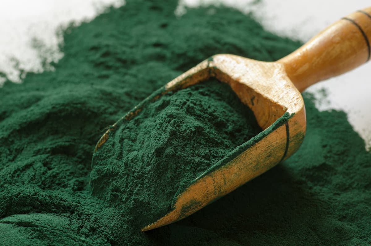 Spirulina - what it is, properties, effects, contraindications